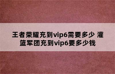 王者荣耀充到vip6需要多少 灌篮军团充到vip6要多少钱